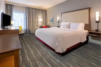 Room, 1 King Bed, Non Smoking, Refrigerator & Microwave