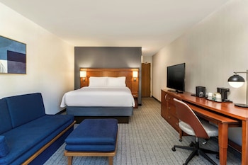 Room, 1 King Bed with Sofa bed