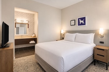 Suite, 1 Queen Bed with Sofa bed (One Bedroom)