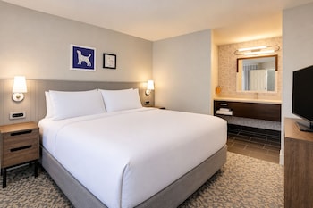 Suite, 1 King Bed (One Bedroom)