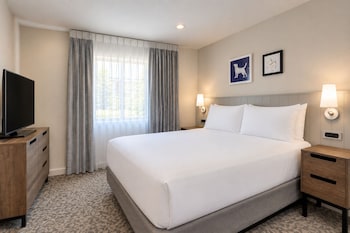 Suite, 1 Queen Bed with Sofa bed (One Bedroom)