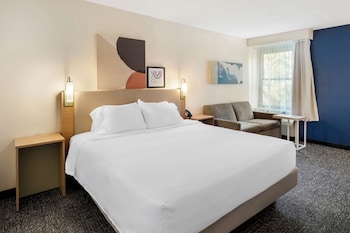 Room, 1 King Bed with Sofa bed
