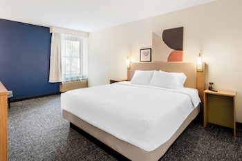Room, 1 King Bed