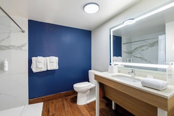 Room, 1 King Bed, Accessible (Roll-In Shower, Mobility & Hearing)