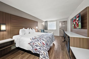 Superior Room, 1 King Bed, Non Smoking