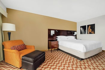 Room, 1 King Bed (Mobility Accessible, Roll-In Shower)