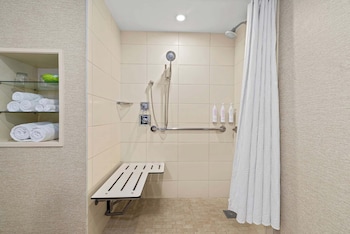 Room, 1 King Bed (Mobility Accessible, Roll-In Shower)