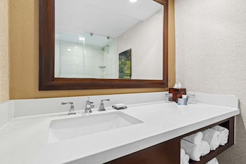 Room, 1 King Bed (Mobility Accessible, Roll-In Shower)