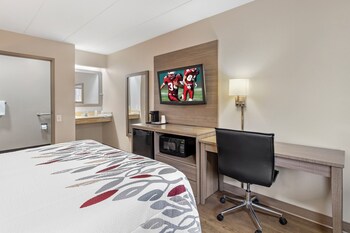 Superior Room, 1 Queen Bed, Accessible, Non Smoking (Roll-In Shower)