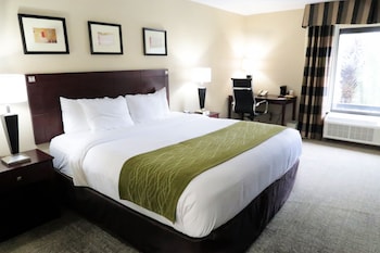 Room, 1 King Bed, Accessible, Non Smoking