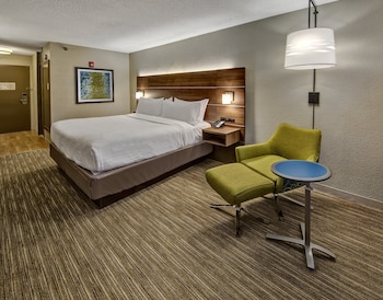 Standard Room, 1 King Bed, Accessible (Communications, Roll-In Shower)