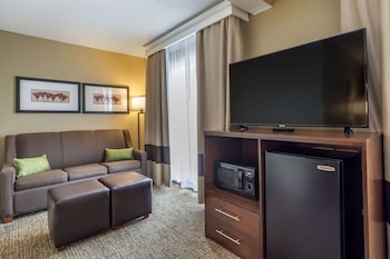 Standard Room, 1 King Bed with Sofa bed, Non Smoking (Shower Tub)