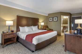 Standard Room, 1 King Bed with Sofa bed, Non Smoking (Shower Tub)