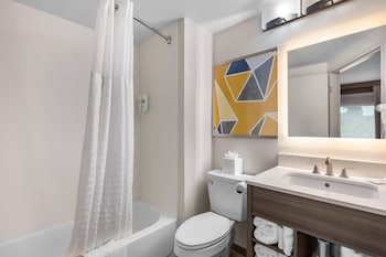 Standard Room, 1 King Bed with Sofa bed, Non Smoking (Shower Tub)