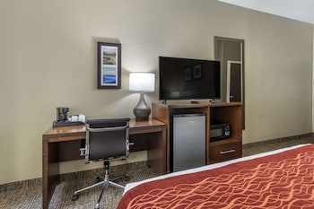 Room, 1 King Bed, Accessible, Non Smoking