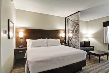 Standard Room, 1 King Bed, Non Smoking, Balcony (with Sofabed)