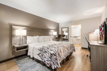 Deluxe Room, 1 King Bed, Accessible (Roll-In Shower, Smoke Free)