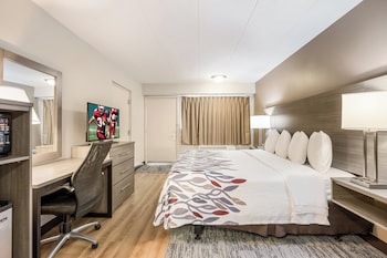 Deluxe Room, 1 King Bed, Accessible (Roll-In Shower, Smoke Free)