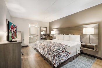 Deluxe Room, 1 King Bed, Accessible (Roll-In Shower, Smoke Free)