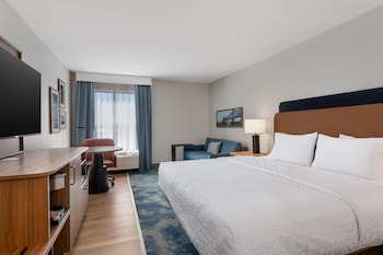 Room, 1 King Bed with Sofa bed, Microwave