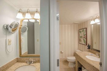 Room, 1 King Bed