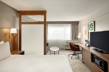Standard Room, 1 King Bed with Sofa bed