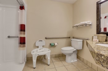 Standard Room, 1 King Bed, Accessible, Non Smoking