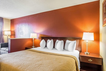 Room, 1 King Bed with Sofa bed, Accessible, Non Smoking