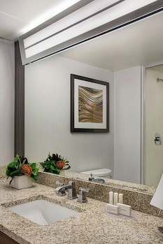 Room, 1 King Bed with Sofa bed (Mobility Accessible, Roll-in Shower)