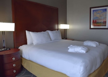 Premium Room, 1 King Bed, Accessible, Non Smoking