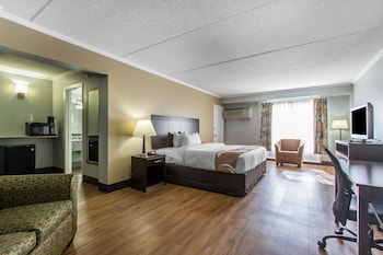 Standard Room, 1 King Bed with Sofa bed, Non Smoking