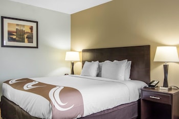 Standard Room, 1 King Bed with Sofa bed, Non Smoking