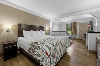 Superior Room, 1 King Bed, Non Smoking