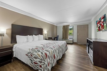 Superior Room, 1 King Bed, Non Smoking