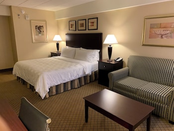 Suite, 1 King Bed