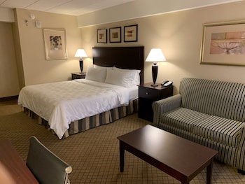 Suite, 1 King Bed