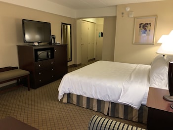 Suite, 1 King Bed