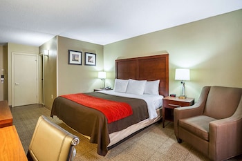 Standard Room, 1 King Bed, Non Smoking