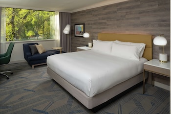 One King Bed