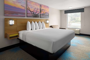 Room, 1 King Bed, Accessible, Non Smoking (Mobility Accessible)