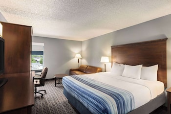 Room, 1 King Bed, Non Smoking