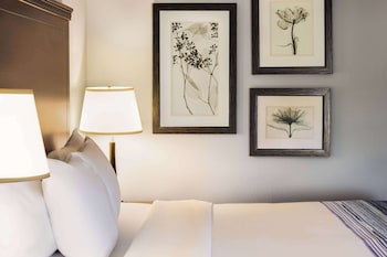 Deluxe Room, 1 Queen Bed, Accessible, Non Smoking