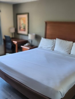 Standard Room, 1 King Bed, Accessible