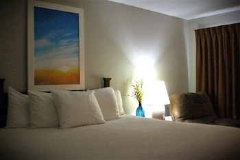 Room, 1 King Bed, Non Smoking