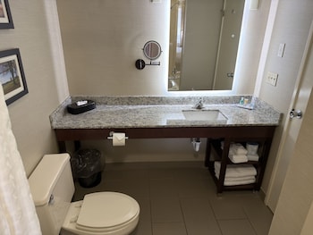 Deluxe Room, 1 King Bed, Non Smoking