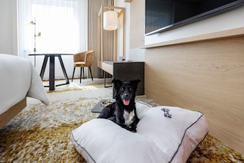 Deluxe Room, 2 Twin Beds