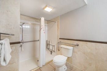 Deluxe Room, 1 King Bed, Accessible, Non Smoking (Roll-In Shower)