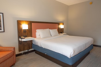 Room, 1 King Bed