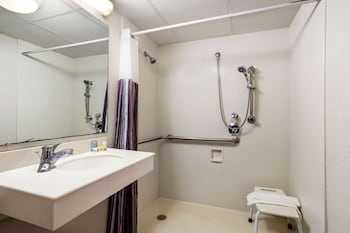 Room, 1 King Bed, Accessible, Non Smoking (Mobility/Hearing/Roll-In Shower)