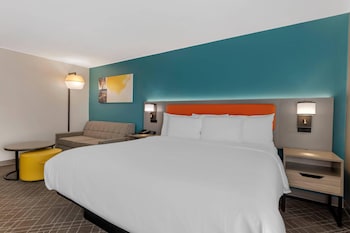 Room, 1 King Bed, Non Smoking